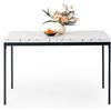 FurnitureR Tavolo da pranzo, 120 cm, luminoso, effetto marmo, con gambe in metallo ad alte prestazioni, moderno tavolo da pranzo rettangolare in legno, per 4-6 persone, sala da pranzo, ristorante,