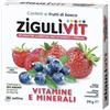 FALQUI PRODOTTI FARMAC. Srl ZIGULI-VIT FRUTTI BOSCO 24G