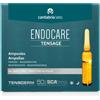 DIFA COOPER SpA Difa Cooper - Endocare Linea Tensage Ampolle Rassodanti Idratanti Schiarenti 10 Fiale da 2ml