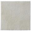 Coloplast GmbH Biatain Alginate Ag compresse con argento 10 x 10 cm, 10 pezzi.