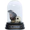 Enesco Wizarding World of Harry Potter Scabbers Curiosity Cloche, altezza 9,5 cm
