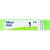 BOIRON Srl ALLIUM CEPA*5CH 80GR 4G