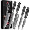 XINZUO 5 Pezzi Set di Coltelli da Cucina Acciaio Damasco, Professionale Set di Coltello da Cuoco, Coltello Chef Santoku Affettare Universale Frutta -Manico in Legno di Pakka