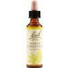 Schwabe pharma italia Schwabe Bach Original White Chestnut Fiori di Bach 20 ml