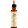 Fiori di bach Schwabe Fiori di Bach 26 Rock Rose Gocce 20 ml