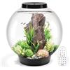 biOrb Acquario classico da 60 galloni in acrilico con luci LED multicolori telecomandate moderno serbatoio per display da tavolo, nero