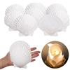 Wekuw 10 Conchiglie Grande 10-12 cm Capesante Shell Naturale Cucina Artigianato Antipasto Piatto Snack Decorazione