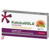 SCHWABE PHARMA ITALIA Srl KALOBAGOLA 20 COMPRESSE FRAGOLA