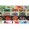 Prophila Collection Motivazioni 100 Diversi Animali Francobolli (Francobolli per i Collezionisti) Altri mammiferi (Scimmie/Dinosauri/Elefanti...)