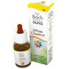 GUNA SpA Guna White Chestnut Fiori di Bach Gocce 10ml