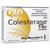 WP CORPORATE Srl Colesterase Plus Integratore 30 Capsule