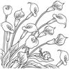 Honsell-Cornice Calla, Formato 30 x 30 cm, Motivo prestampato da colorare con Colori acrilici, acquerelli e ad Olio e pennarelli e matite Colorate, Bianco, 12138