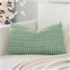 Artscope 1 Pezzi Federe per Cuscini in Velluto a Coste Minimalista Copricuscino Colorato per la Decorazione Domestica Soggiorno Camera da Letto Divano 30x50cm, Verde Chiaro