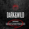 Big Hit Entertainment BTS Dark and Wild the 1st Album CD+Photobook+Photocards+(Extra BTS 6 Photocards+1 Double-Sided Photocard+Logo Hologram Sticker)