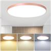XINYASEE Lampada a Soffitto Ultra Sottile Rotonda, Plafoniera LED SoffittoModerna Plafoniere 3 colori dimmerabili,per Corridoio, Portico, Garage, Ingresso, Scala,Bagno, Cucina, Balcone(Rosa, 30W)