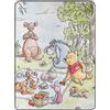 Northwest Disney Winnie The Pooh Micro Raschel - Coperta da picnic, 116,8 x 152,4 cm