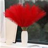 VIDSTW 30 Pezzi Pampas Decorative, 55 cm Erba di Pampa Fiori Secchi Decorativi Piume Decorative Fiori Secchi Casa per Decorare Camera da Letto Soggiorno Matrimonio (Rosso)