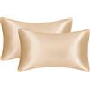 JUWENIN Set di 2 federe in seta per capelli e pelle del viso per prevenire le rughe, cerniera nascosta, set di 2 pezzi (champagne)