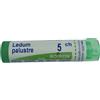 Boiron Ledum Palustre 5 Ch 80 Granuli 4g