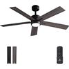Vagizm Ventilatore da Soffitto con Luce Camera da Letto: Ventilatore da 132 cm con Telecomando - Adatto a Soggiorno, Interno ed Esterno - Silenzioso - 6 Velocità - Nero