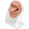 TITA-DONG Modello di Lingua Umana in Morbido Silicone, Modello di Bocca 3D Realistico con Supporto in Acrilico, Modello di Lingua di Bocca in Silicone Simulato Multifunzionale per Esposizione di(Carne bionda)