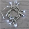 Prequ Catena Luminosa, 20 led, 1,3 metri, Bianco Freddo, Luce Fissa, Cavo Trasparente, a batteria