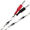 WIREWORLD HELICON 10 16x OCC SPEAKERS CABLE 3M COPPIA NUOVI