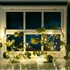Aigostar Catena decorata rami di eucalipto a energia solare 110 Led 2 metri Bianco caldo Aigostar