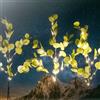 Aigostar Catena decorata 3 rami di eucalipto a energia solare 60 Led Bianco caldo Aigostar