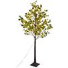 Aigostar Albero luminoso Led eucalipto con tronco e base 120 cm Bianco caldo 2700K con pannello solare Aigostar