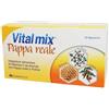 Vitalmix Pappa Reale Integratore Alimentare a Base di Pappa Reale 10 Flaconcini