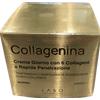Fillerina Collagenina Crema Giorno con 6 Collageni Grado 1 - 50ml