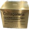 Fillerina Collagenina Crema Notte 6 Collageni Grado 2 50ml
