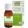BOIRON SRL CRATAEGUS OXYACANTHA giovani getti biancospino macerato glicerico 60ml