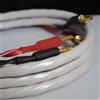 WIREWORLD SOLSTICE 10 SPEAKER CABLE COPPIA CAVI DI POTENZA 2M NUOVI