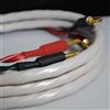 WIREWORLD SOLSTICE 10 SPEAKER CABLE COPPIA CAVI DI POTENZA 3M NUOVI