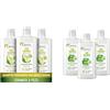 Omia, Fisio Shampoo Trattante con Olio di Bergamotto di Calabria per Capelli Grassi, 3 Flaconi da 200 ml & Fisio Shampoo Eco Bio con Aloe Vera del Salento 3 Flaconi da 200 ml