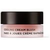 ANNEMARIE BÖRLIND Cooling Cream Blush Coral Red, 8 ml, rossetto cremoso