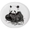 Maxwell & Williams DX0528 Piatto Giant Panda - Bianco - 20 cm di diametro - Ceramica - con motivo animale, in confezione regalo