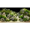 MIRRORANG 120x46cm Acquario Sfondo Roccia 3D Pietre di Roccia Erba Terrario Sfondo Decorazione Rettile Serbatoio Sfondi