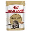 Royal Canin Maine Coon Adult | 12 x 85 g | Cibo umido per gatti | Specificamente adattato alle esigenze dei gatti Maine Coon | Contenuto energetico adeguato