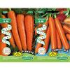 Germisem Flakkee Semi di Carota su Nastro da 6 m & Carrot Mix Trio Carote Semi su Nastro da 6 m