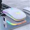 Tenglang Mouse Wireless Ricaricabile LED colorato A2 Slim 2.4GHz Mouse Wireless Silenzioso con Ricevitore USB Mouse USB Ricaricabile RGB per PC Laptop (White)
