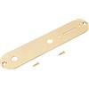 Banworks Piastra di controllo per chitarra Imperial da 9,5 mm Fori per potenziometro CTS Piastra di controllo dell'interruttore in lega di acciaio per Fender Tele americana/messicana JT/KZB-02