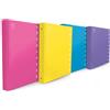Pigna Raccoglitore ad Anelli Monocromo Fluo