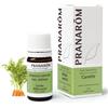 Herbalgem italia srl Pranarom Olio Essenziale - Carota frutto - 5 ml