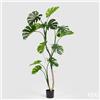 Enzo De Gasperi EDG Enzo De Gasperi Pianta Artificiale con Vaso Monstera H175 cm