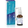 Aminogam Coadiuvante Mucosa Gengivale Spray, 15 ml, Confezione da 1