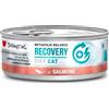 Disugual Recovery Salmone 85g umido dietetico gatto 85 g