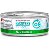 Disugual Recovery Coniglio 85g umido dietetico gatto 85 g